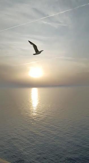 Armareaoverseassuites 1 Fiumicino Bagian luar foto